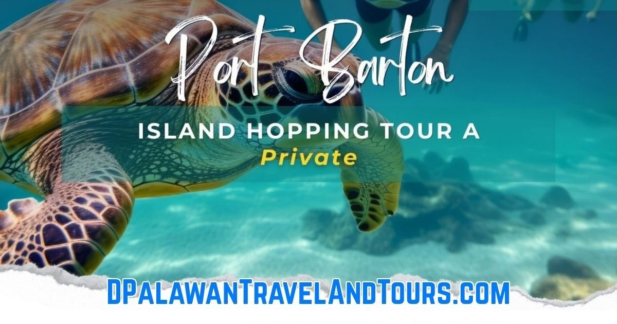 Island Hopping Tour A Private Port Barton San Vicente Palawan Philippines