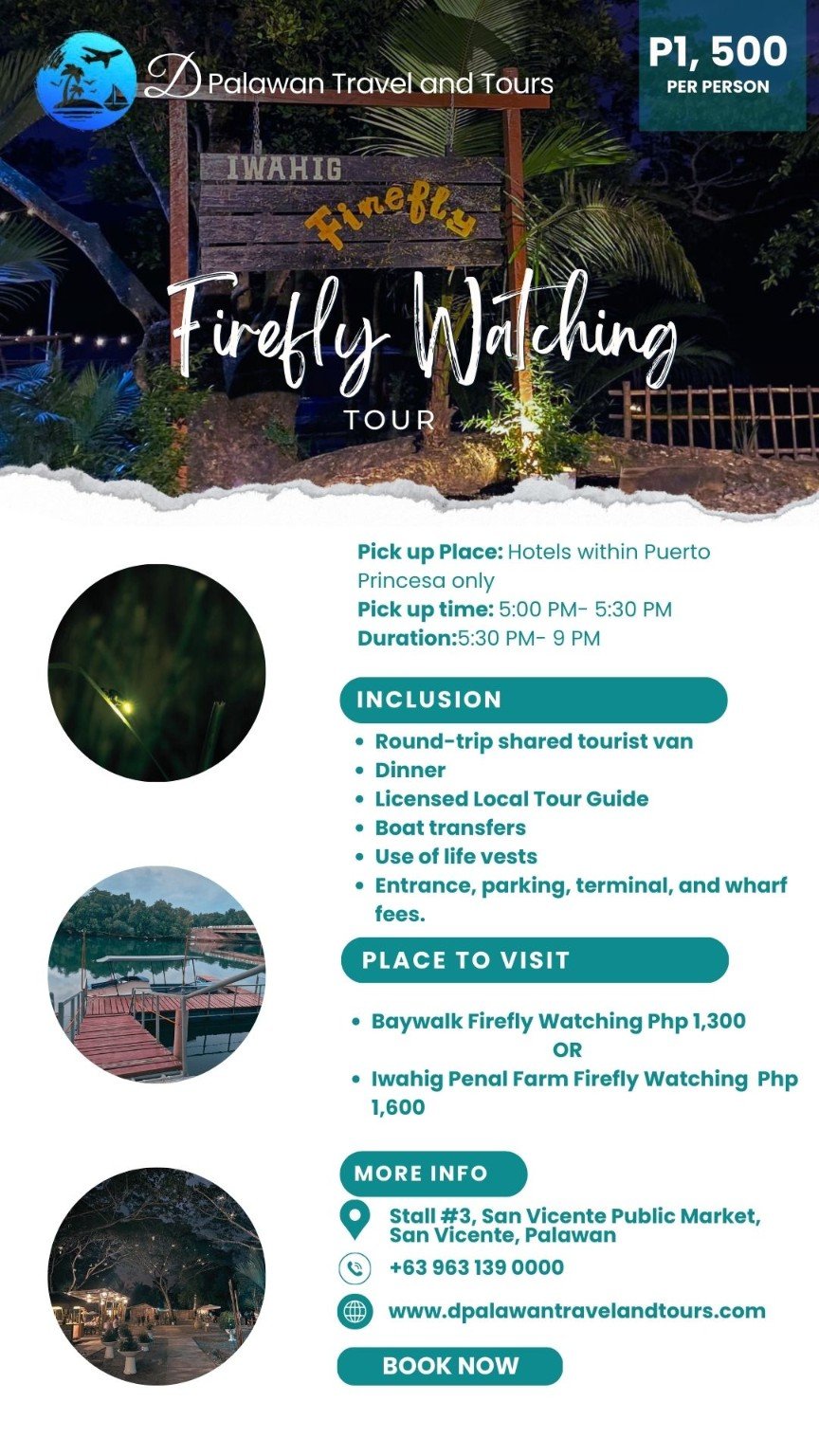 Puerto Princesa- Firefly Watching Tour Puerto Princesa- Firefly Watching Tour
