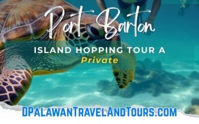 Port Barton Island Hopping Tour A (Private)