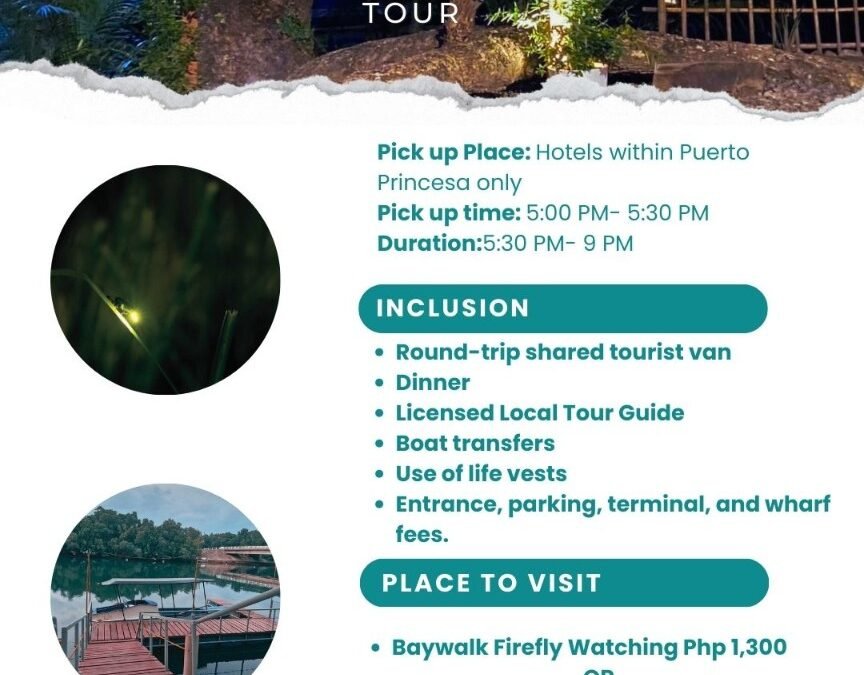 Firefly Watching Tour (Iwahig Mangrove River – Puerto Princesa)