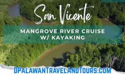San Vicente’s Inandeng Mangrove River Cruise with Kayaking